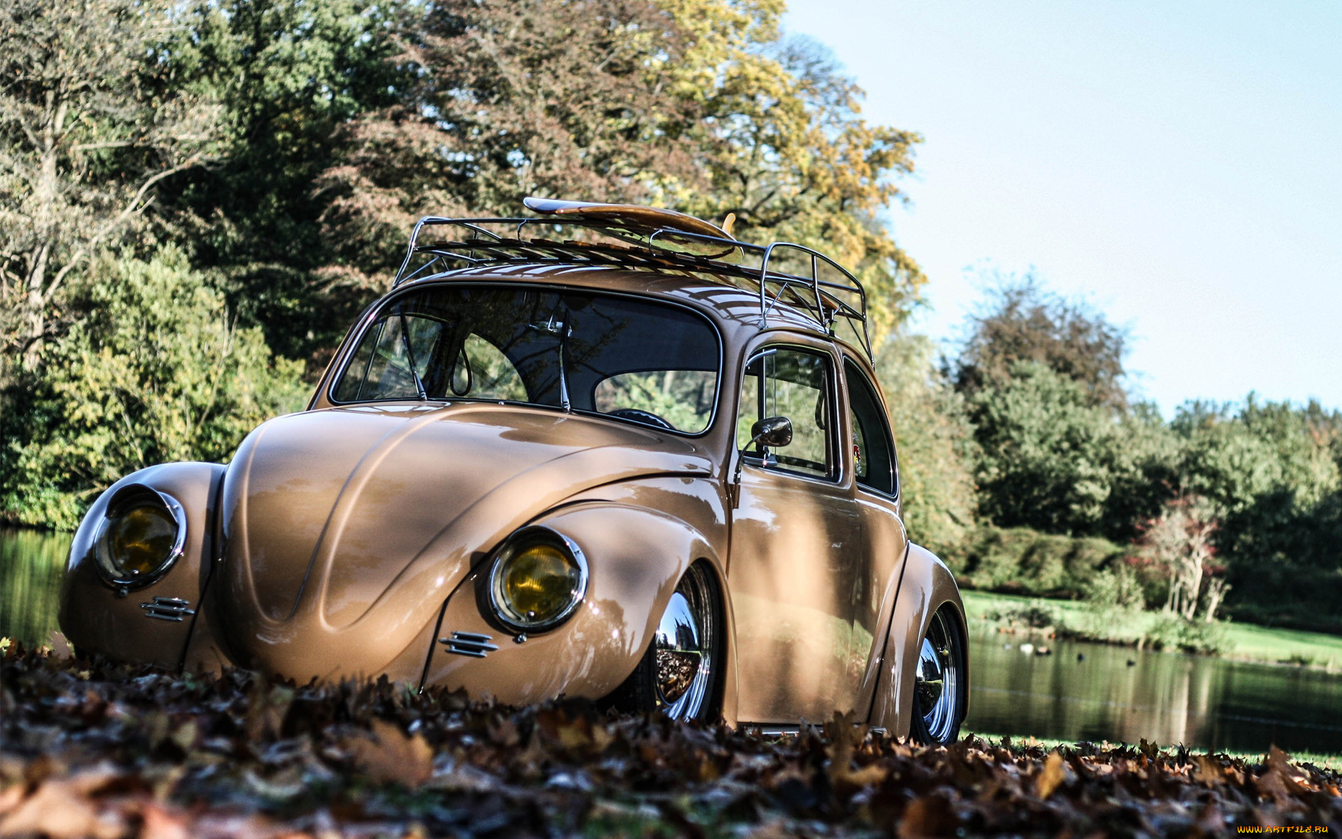 , volkswagen, vw